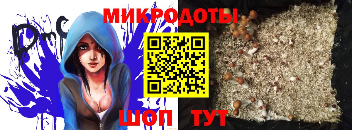 Псилоцибиновые грибы Psilocybe  Вход с VPN  Псилоцибиновые грибы Psilocybine cubensis  Георгиевск 